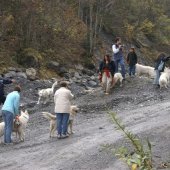 Bilder-Galerie &raquo; UBV - Weekend auf der Wichlenalp ob Elm