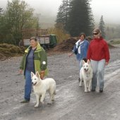 Bilder-Galerie &raquo; Junghunde - Gruppe beim Training